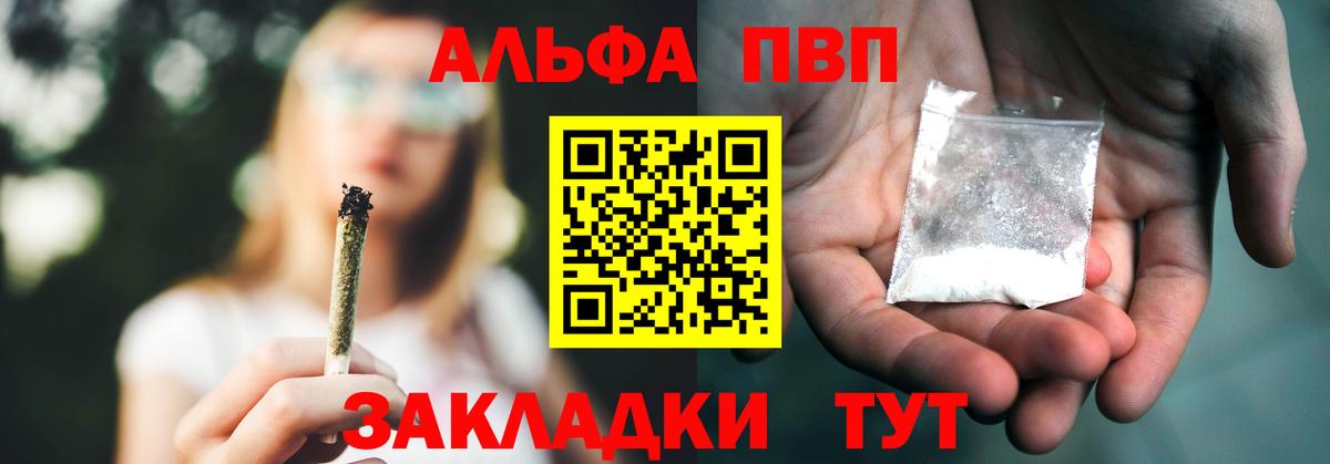 A-PVP СК КРИС Моздок