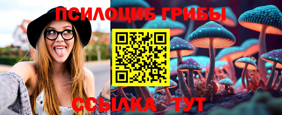 Псилоцибиновые грибы GOLDEN TEACHER  Вход с VPN  где найти наркотики  Моздок 
