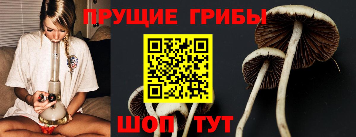 Псилоцибиновые грибы MAGIC MUSHROOMS Моздок